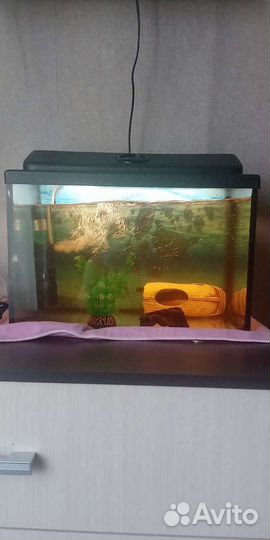 Аквариум