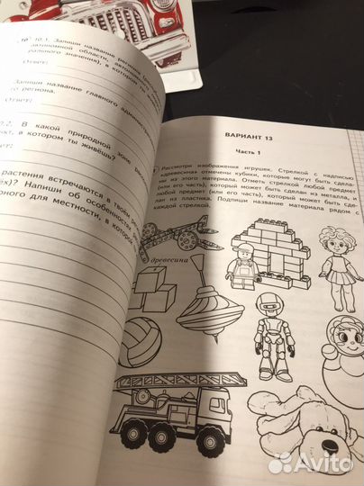 ВПР по окружающему миру