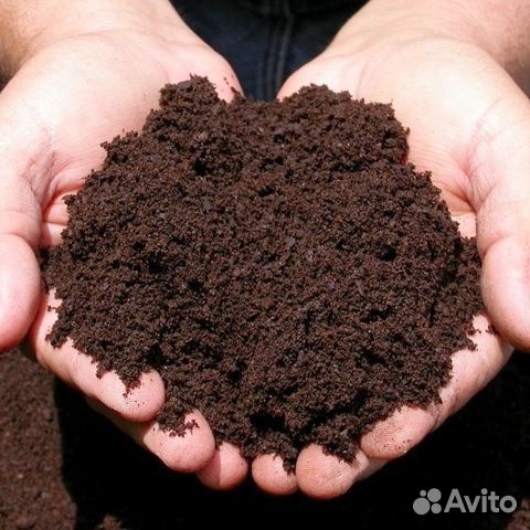 Купить Чернозем навоз перегной с доставкой