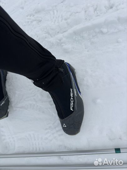 Беговые лыжи