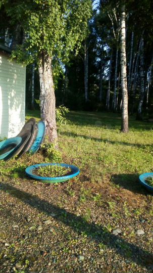 Участок 13 сот. (СНТ, ДНП)