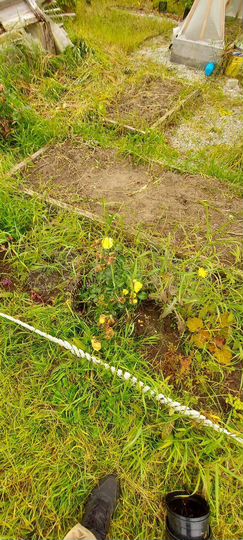 Дача 35 м² на участке 9 сот.