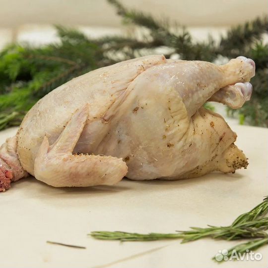 Курица, утки, муларды, кролики