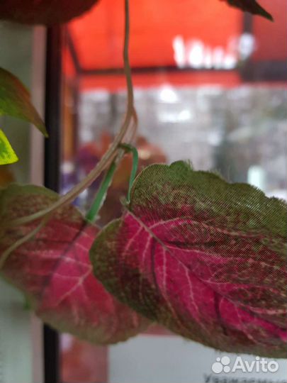 Искусственные цветы(лиана)