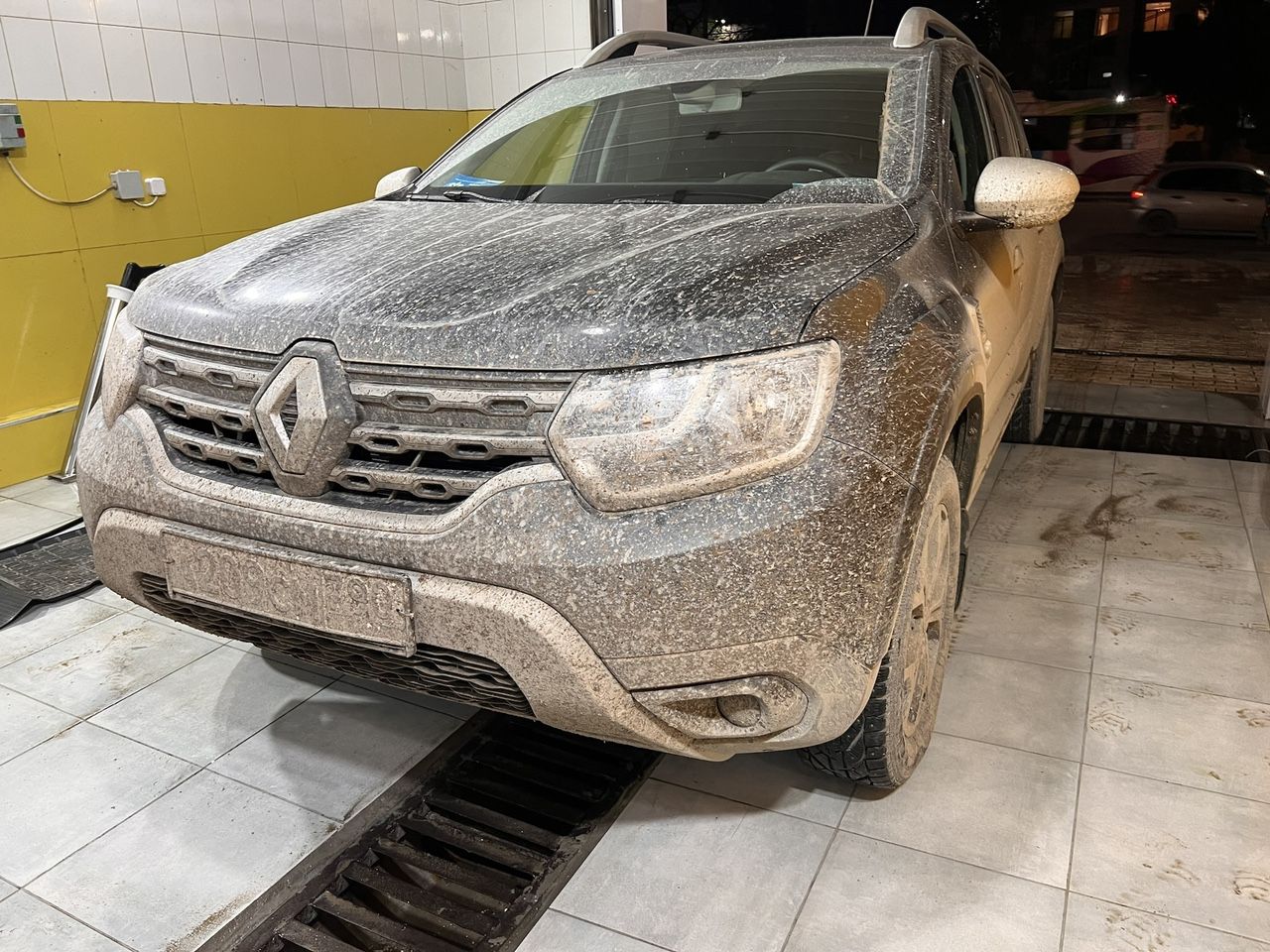 Renault Duster: фото владельца
