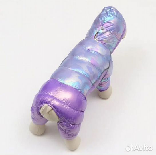 Одежда для маленьких собак