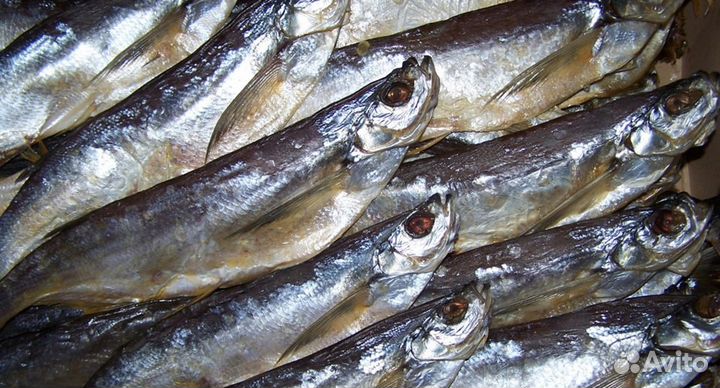 Продается вяленая рыба домашнего посола