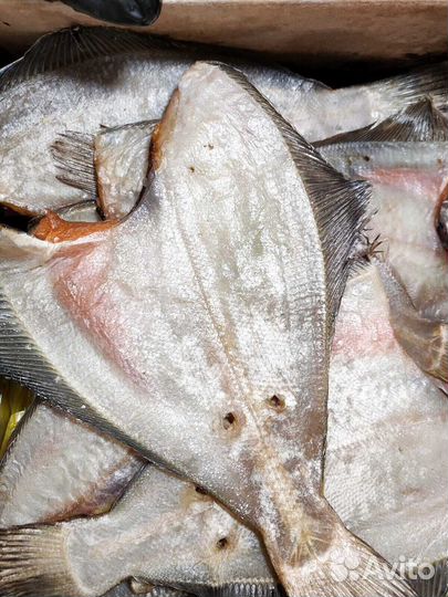 Вяленый Ерш