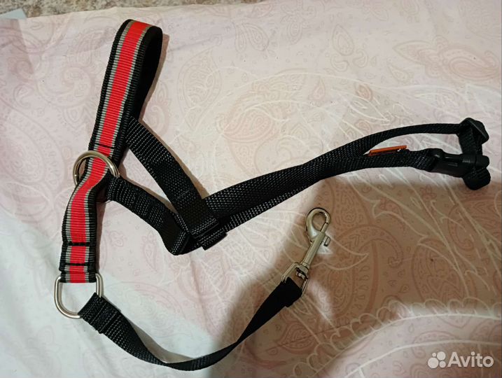 Недоуздок для собак