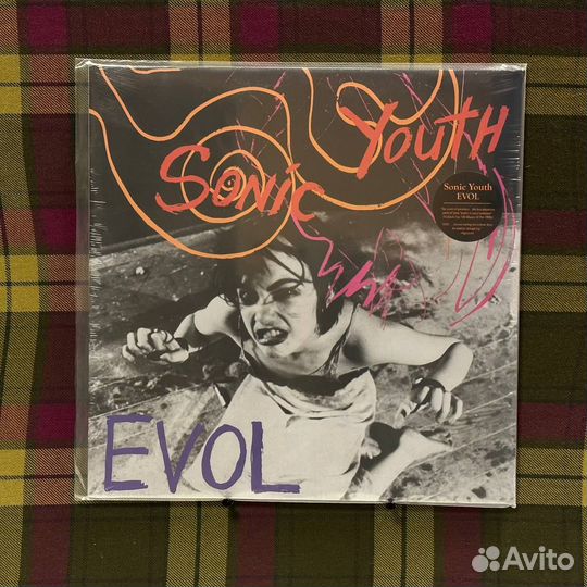 Sonic Youth – evol