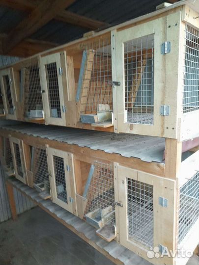 Клетка для кролика