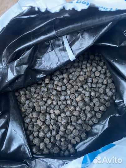 Корм для рыб