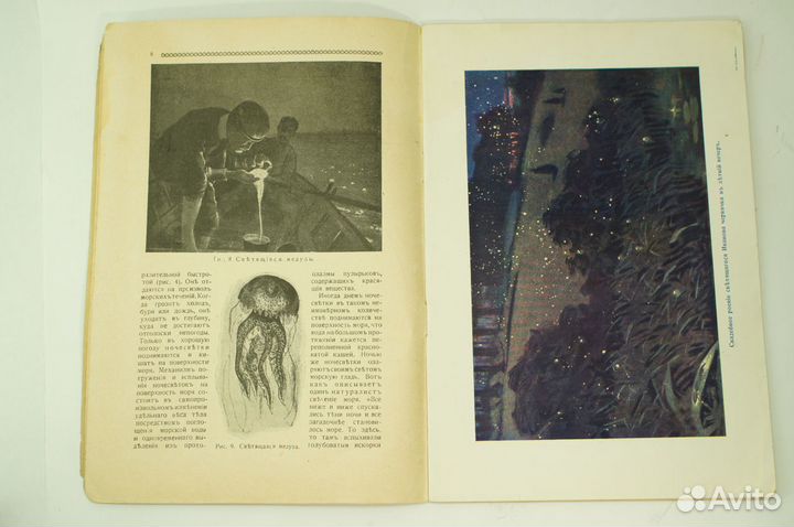 Знание для всех. № 5, 1917 год. Живой свет