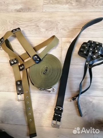 Снаряжение на собаку