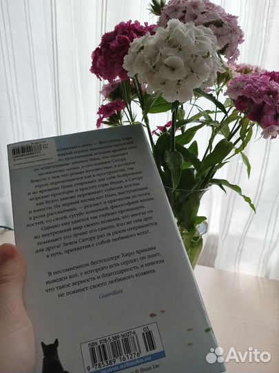 Хроники странствующего кота