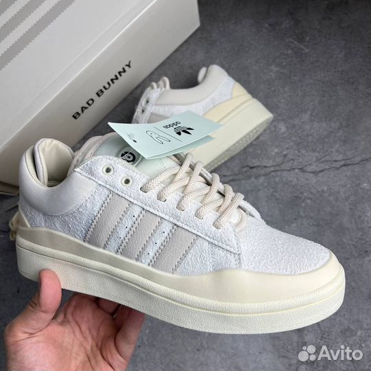 Adidas Campus Bad Bunny Cream