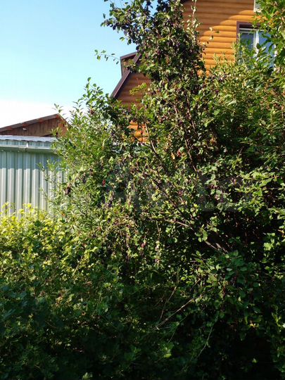 Дом 60 м² на участке 7,3 сот.