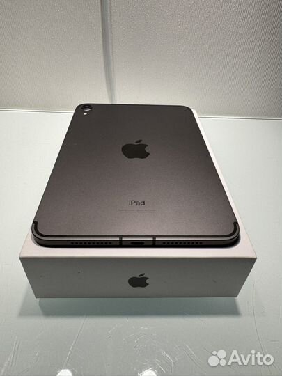 iPad mini 6 256 cellular