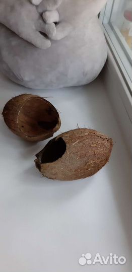 Скорлупа кокоса натуральная
