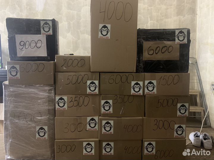 Master box Mystery Box Master Box