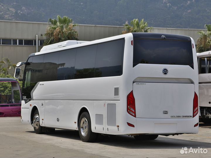 Туристический автобус Golden Dragon XML6952, 2024