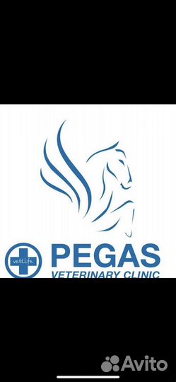 Ассистент ветеринарного врача