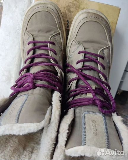 Ботинки женские ecco 39