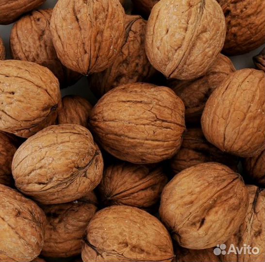 Грецкий орех в скорлупе