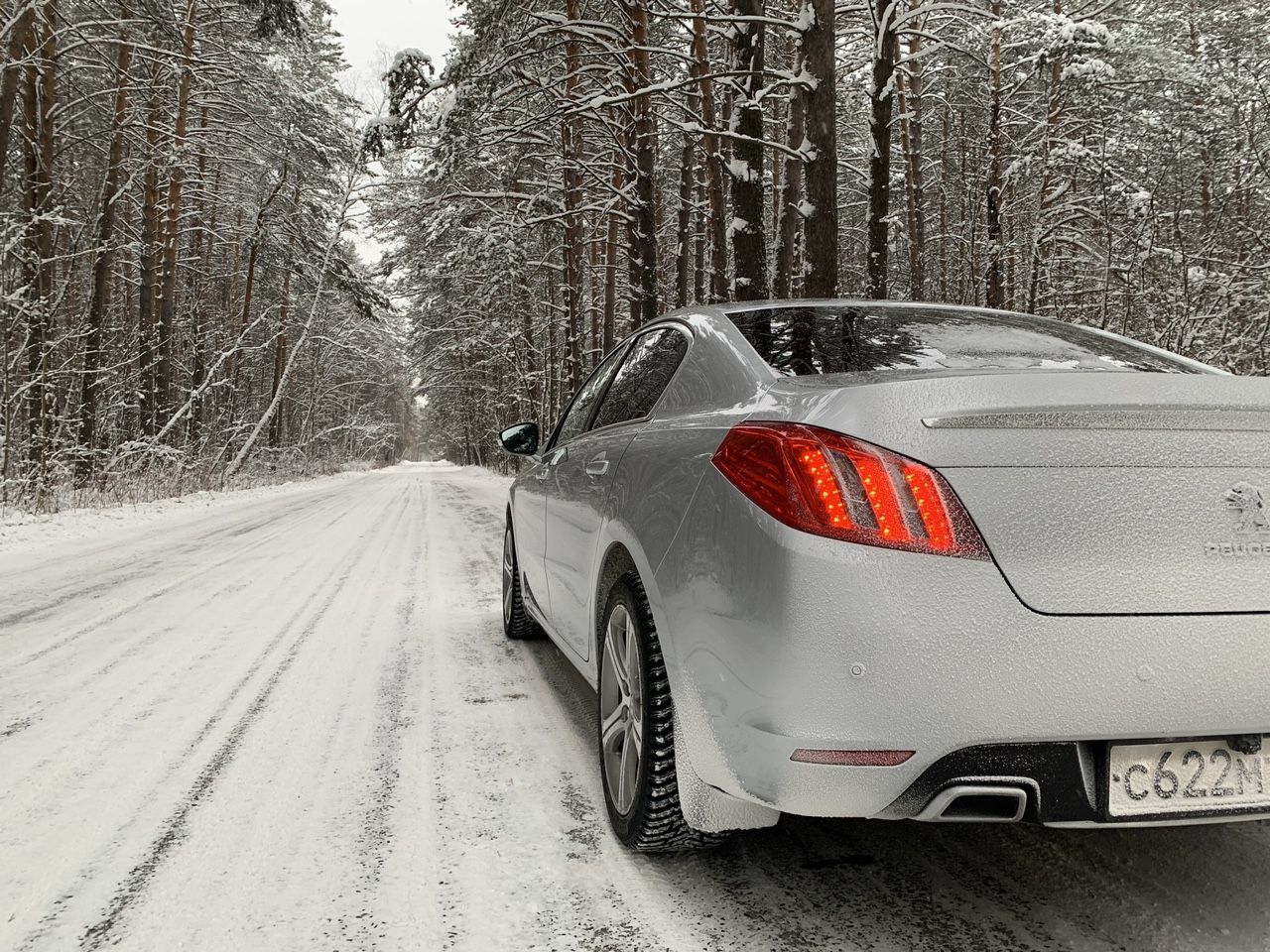 Peugeot 508: фото владельца