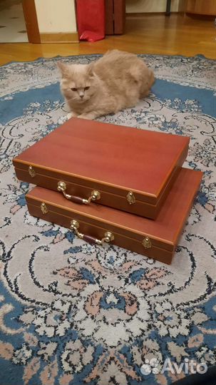 Кейсы для хранения оружия