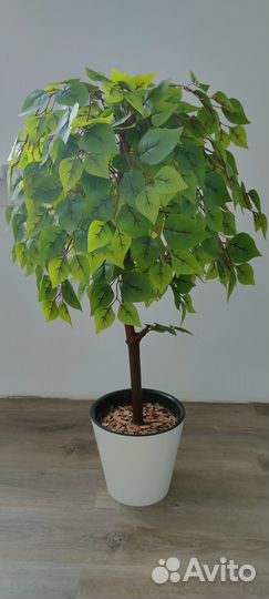 Искусственные растения