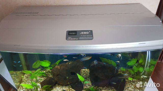 Аквариум jebo R3100 kg купить в Хабаровске | Животные и зоотовары | Авито