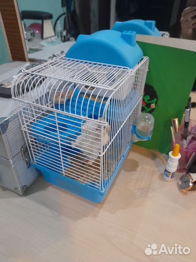 Хомяк с клеткой