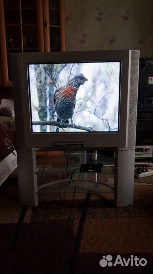 Телевизор сони