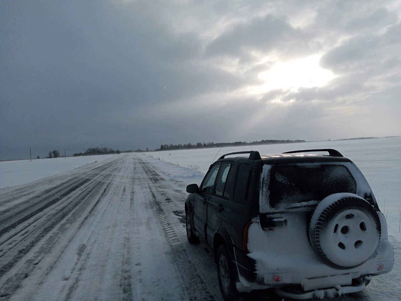 Suzuki Grand Vitara: фото владельца