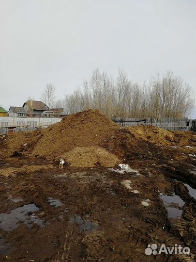 Конский навоз от элитных производителей