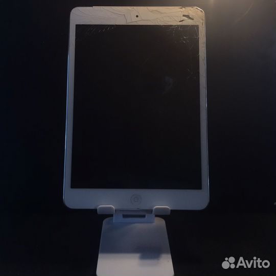 iPad mini 1