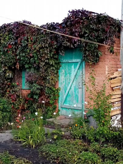 Дача 30 м² на участке 9 сот.