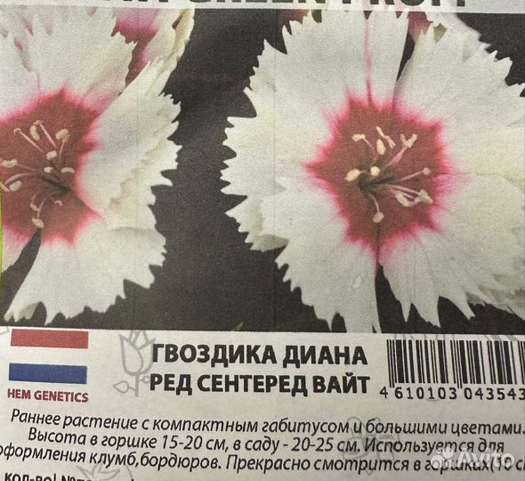 Гвоздика Диана семена