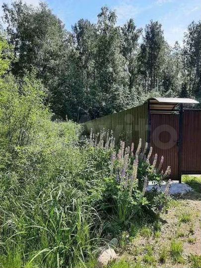 Участок 10,7 сот. (СНТ, ДНП)