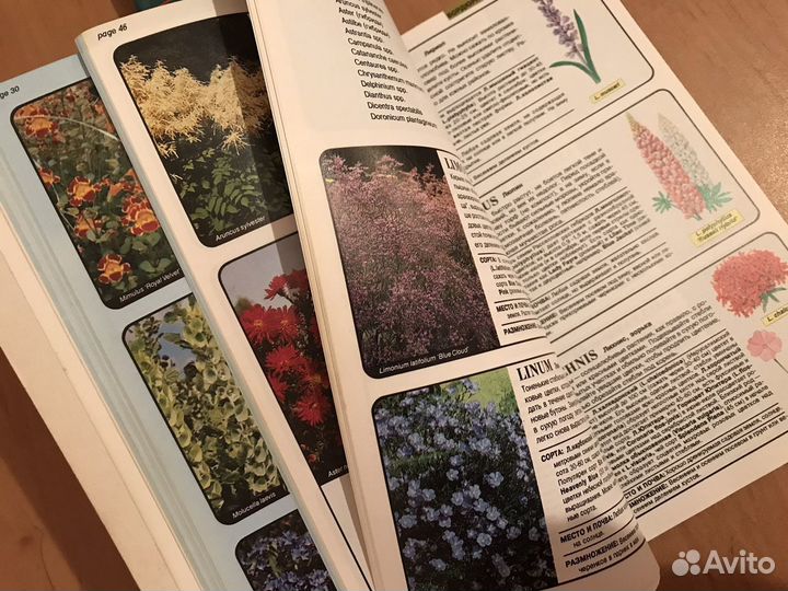 Всё о цветах в вашем саду