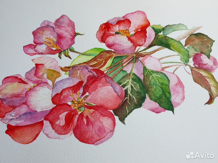 Картина Цветущая яблоня