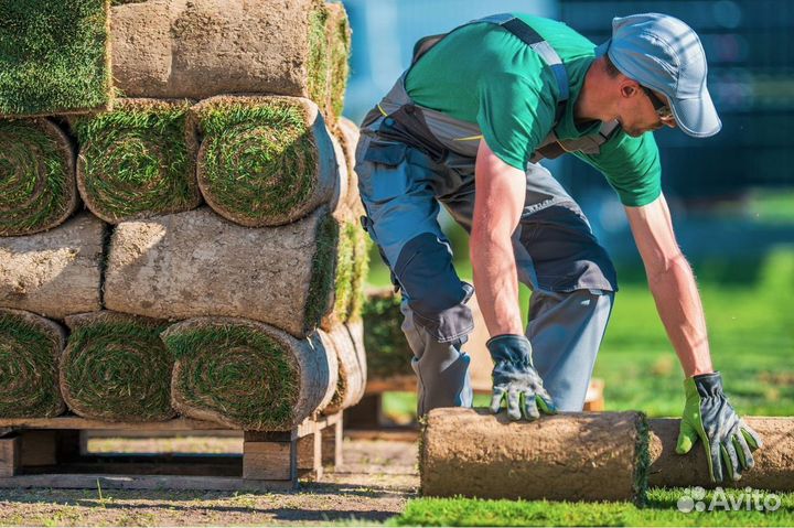 Благоустройство территории, вынос мусора