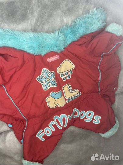 Одежда для собак