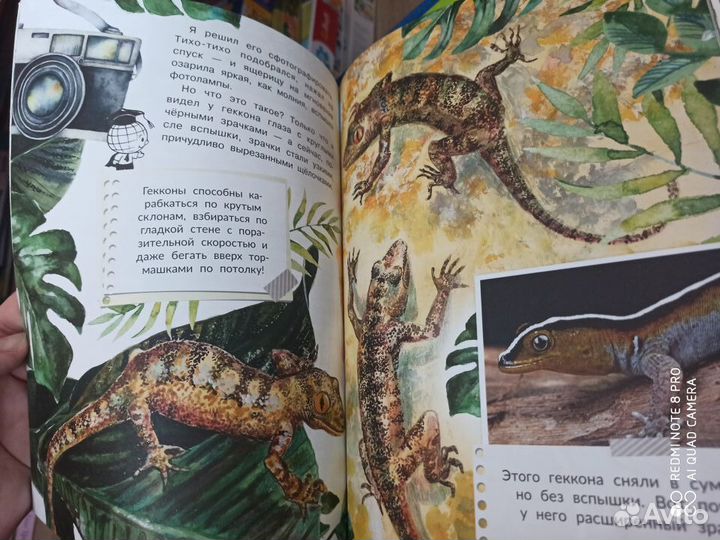 Познавательные книги для детей