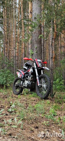 Avantis a7 птс