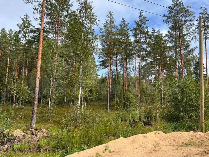 Участок 10 сот. (СНТ, ДНП)