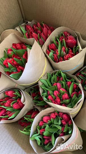 Тюльпаны и розы