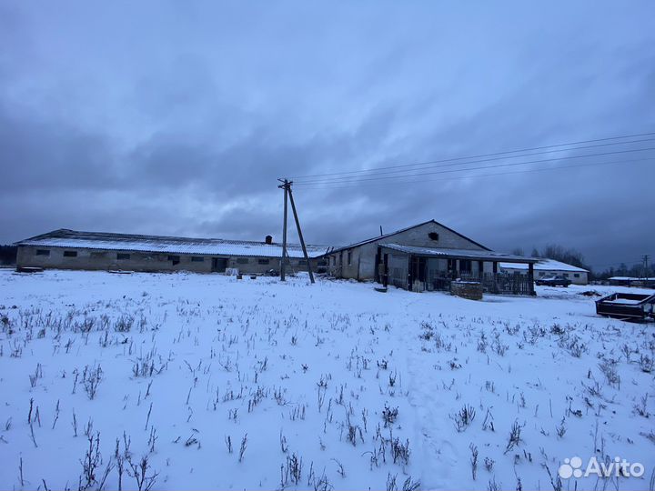 Участок 10 га (СНТ, ДНП)