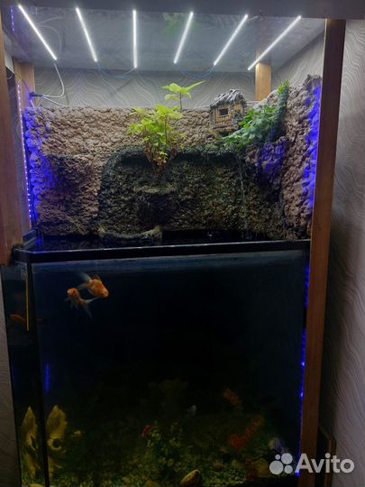 Аквариум